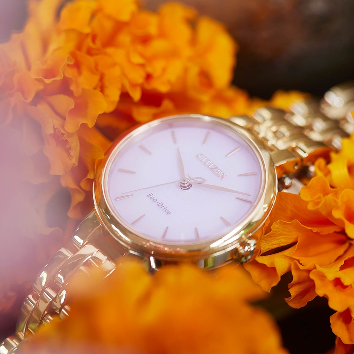 Montre Citizen dorée avec cadran blanc sur fleurs oranges, Eco-Drive.