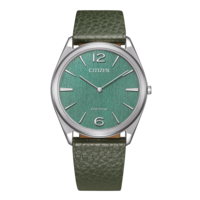 AR3120-32X Homme Cuir vert